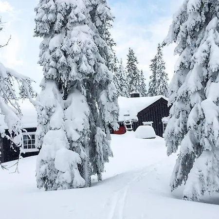 In With Wifi بيت للعطل Sjusjoen