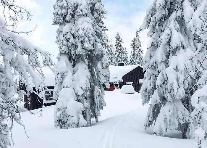 In With Wifi بيت للعطل Sjusjoen